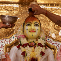 Daily Darshan